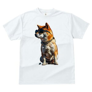 Č TVc fB[X t@  t  vg JWA 킢 lԗp h ̃fUC ʔ TOX Č 