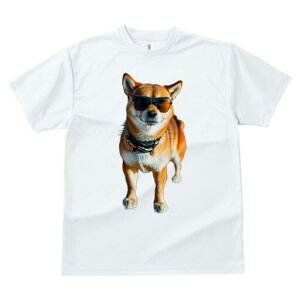 Č TVc fB[X t@  t  vg JWA 킢 lԗp h ̃fUC ʔ TOX Č