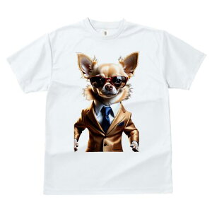 ` TVc fB[X t@  t  vg JWA 킢 lԗp h ̃fUC ʔ X[c ` TOX lN^C