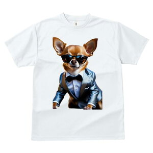 ` TVc fB[X t@  t  vg JWA 킢 lԗp h ̃fUC ʔ TOX ` X[c lN^C