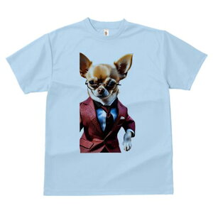 ` TVc Y LbY t@  t  vg JWA 킢 lԗp h ̃fUC ʔ X[c ` lN^C Kl