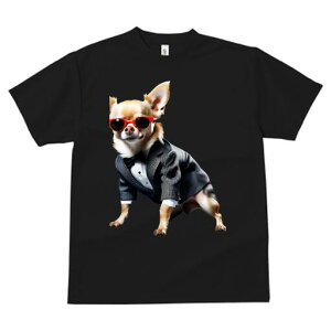 ` TVc fB[X t@  t  vg JWA 킢 lԗp h ̃fUC ʔ X[c ` TOX lN^C