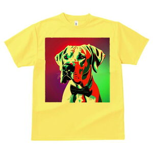 O[gf[ TVc fB[X t@  t  vg JWA 킢 lԗp h ̃fUC ʔ lN^C O[gf[