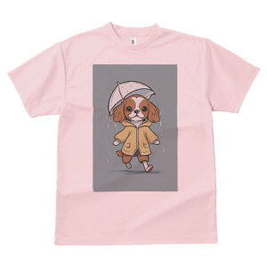 LoA TVc fB[X t@  t  vg JWA 킢 lԗp h ̃fUC ʔ J LoA P CR[g