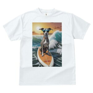 C^AO[nEh TVc fB[X t@  t  vg JWA 킢 lԗp h ̃fUC ʔ g C^AO[nEh C T[tB 