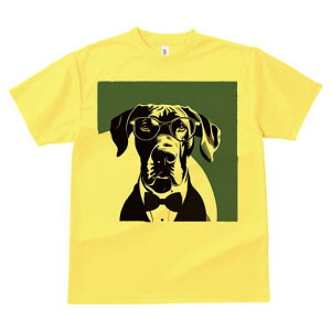 O[gf[ TVc Y LbY t@  t  vg JWA 킢 lԗp h ̃fUC ʔ Kl O[gf[ lN^C ^LV[h