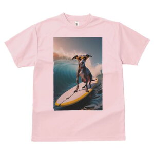 C^AO[nEh TVc fB[X t@  t  vg JWA 킢 lԗp h ̃fUC ʔ T[tB C^AO[nEh g T