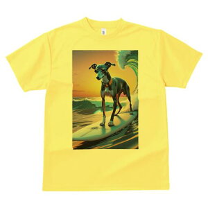 C^AO[nEh TVc fB[X t@  t  vg JWA 킢 lԗp h ̃fUC ʔ g C^AO[nEh T[tB C 