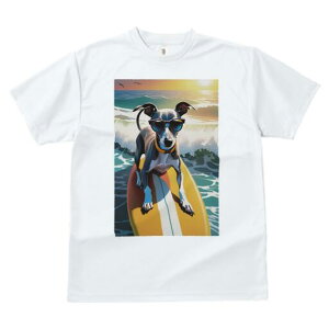 C^AO[nEh TVc fB[X t@  t  vg JWA 킢 lԗp h ̃fUC ʔ T[tB C^AO[nEh C g 