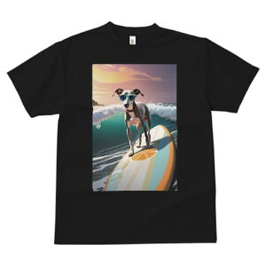 C^AO[nEh TVc fB[X t@  t  vg JWA 킢 lԗp h ̃fUC ʔ T[tB C^AO[nEh C g 