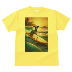 C^AO[nEh TVc Y LbY t@  t  vg JWA 킢 lԗp h ̃fUC ʔ T[tB C^AO[nEh C 