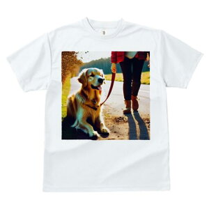 S[fgo[ TVc fB[X t@  t  vg JWA 킢 lԗp h ̃fUC ʔ U S[fgo[ ̎U ̃[h 