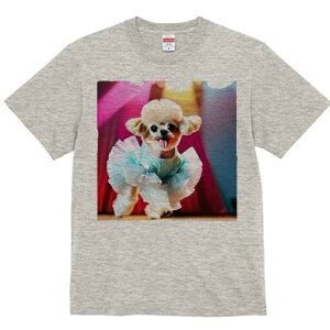 }`[Y TVc fB[X t@  t  vg JWA 킢 lԗp h ̃fUC ʔ o[i }`[Y `` Xe[W Cg