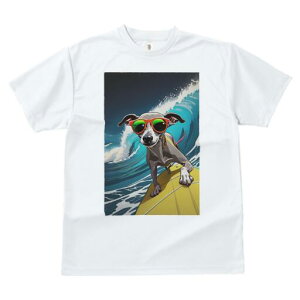 C^AO[nEh TVc fB[X t@  t  vg JWA 킢 lԗp h ̃fUC ʔ g C^AO[nEh T[tB T