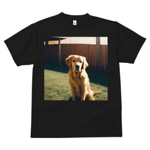 S[fgo[ TVc fB[X t@  t  vg JWA 킢 lԗp h ̃fUC ʔ Ő S[fgo[  tFX