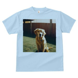 S[fgo[ TVc fB[X t@  t  vg JWA 킢 lԗp h ̃fUC ʔ Ő S[fgo[  tFX