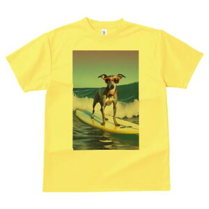 C^AO[nEh TVc fB[X t@  t  vg JWA 킢 lԗp h ̃fUC ʔ T[tB C^AO[nEh C g 