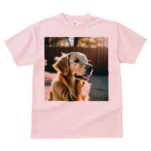 S[fgo[ TVc fB[X t@  t  vg JWA 킢 lԗp h ̃fUC ʔ wi S[fgo[ z