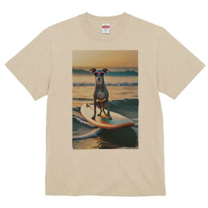 C^AO[nEh TVc fB[X t@  t  vg JWA 킢 lԗp h ̃fUC ʔ T[tB C^AO[nEh C g 