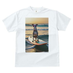 C^AO[nEh TVc fB[X t@  t  vg JWA 킢 lԗp h ̃fUC ʔ T[tB C^AO[nEh C g 