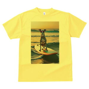 C^AO[nEh TVc fB[X t@  t  vg JWA 킢 lԗp h ̃fUC ʔ T[tB C^AO[nEh C g 