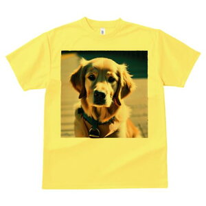 S[fgo[ TVc fB[X t@  t  vg JWA 킢 lԗp h ̃fUC ʔ  S[fgo[