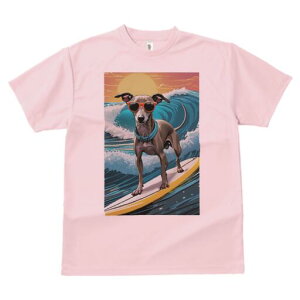 C^AO[nEh TVc Y LbY t@  t  vg JWA 킢 lԗp h ̃fUC ʔ g C^AO[nEh T[tB 