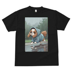 LoA TVc fB[X t@  t  vg JWA 킢 lԗp h ̃fUC ʔ J LoA CR[g