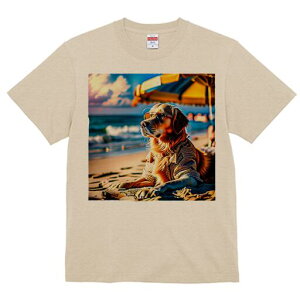 S[fgo[ TVc fB[X t@  t  vg JWA 킢 lԗp h ̃fUC ʔ r[` S[fgo[ C x 