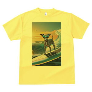 C^AO[nEh TVc fB[X t@  t  vg JWA 킢 lԗp h ̃fUC ʔ T[tB C^AO[nEh C g 