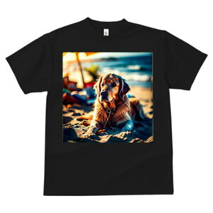 S[fgo[ TVc fB[X t@  t  vg JWA 킢 lԗp h ̃fUC ʔ r[` S[fgo[ C  P