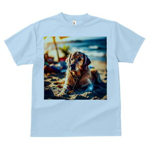 S[fgo[ TVc fB[X t@  t  vg JWA 킢 lԗp h ̃fUC ʔ r[` S[fgo[ C  P