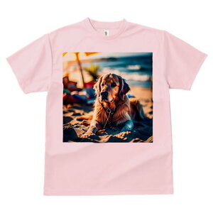 S[fgo[ TVc fB[X t@  t  vg JWA 킢 lԗp h ̃fUC ʔ r[` S[fgo[ C  P