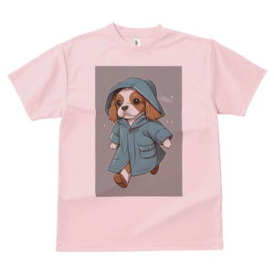 LoA TVc fB[X t@  t  vg JWA 킢 lԗp h ̃fUC ʔ CR[g LoA J