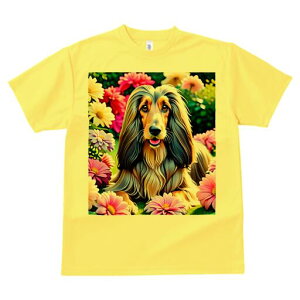 AtKnEh TVc fB[X t@  t  vg JWA 킢 lԗp h ̃fUC ʔ  AtKnEh 