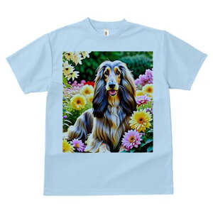 AtKnEh TVc fB[X t@  t  vg JWA 킢 lԗp h ̃fUC ʔ  AtKnEh A 