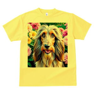 AtKnEh TVc fB[X t@  t  vg JWA 킢 lԗp h ̃fUC ʔ  AtKnEh 