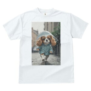 LoA TVc fB[X t@  t  vg JWA 킢 lԗp h ̃fUC ʔ J LoA P CR[g