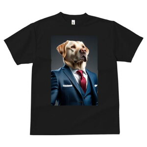 uh[go[ TVc fB[X t@  t  vg JWA 킢 lԗp h ̃fUC ʔ X[c uh[go[ lN^C |P