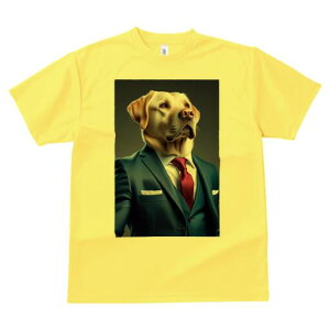 uh[go[ TVc fB[X t@  t  vg JWA 킢 lԗp h ̃fUC ʔ X[c uh[go[ lN^C |P