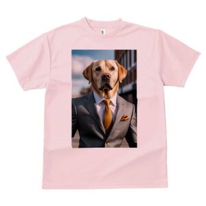 uh[go[ TVc fB[X t@  t  vg JWA 킢 lԗp h ̃fUC ʔ X[c uh[go[ lN^C |P