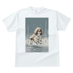 LoA TVc fB[X t@  t  vg JWA 킢 lԗp h ̃fUC ʔ J LoA CR[g t[h