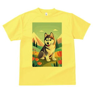 nXL[ TVc fB[X t@  t  vg JWA 킢 lԗp h ̃fUC ʔ R nXL[  R i