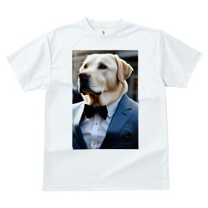 uh[go[ TVc fB[X t@  t  vg JWA 킢 lԗp h ̃fUC ʔ X[c uh[go[ lN^C