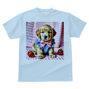 S[fgo[ TVc fB[X t@  t  vg JWA 킢 lԗp h ̃fUC ʔ C`S S[fgo[ { `FbN