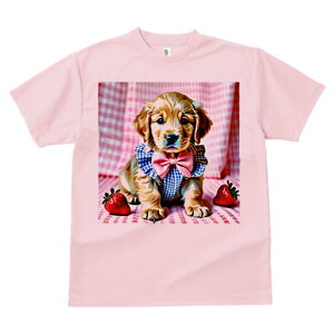 S[fgo[ TVc fB[X t@  t  vg JWA 킢 lԗp h ̃fUC ʔ C`S S[fgo[ { `FbN