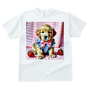 S[fgo[ TVc fB[X t@  t  vg JWA 킢 lԗp h ̃fUC ʔ C`S S[fgo[ { `FbN