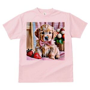 S[fgo[ TVc fB[X t@  t  vg JWA 킢 lԗp h ̃fUC ʔ C`S S[fgo[ lN^C oXP