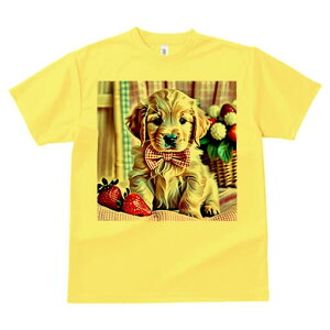 S[fgo[ TVc fB[X t@  t  vg JWA 킢 lԗp h ̃fUC ʔ C`S S[fgo[ lN^C oXP