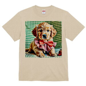 S[fgo[ TVc fB[X t@  t  vg JWA 킢 lԗp h ̃fUC ʔ lN^C S[fgo[ 